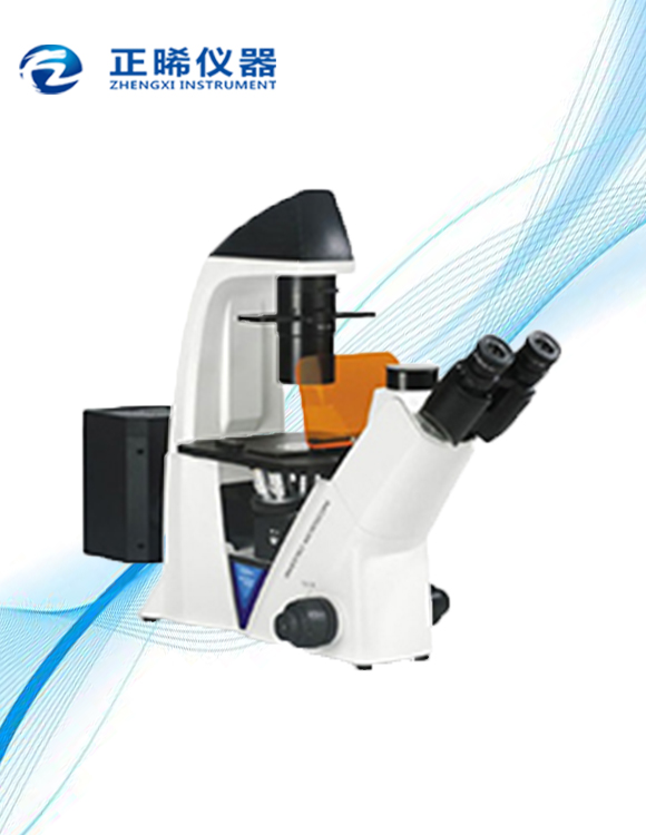 研究型倒置荧光显微镜ZFM-800