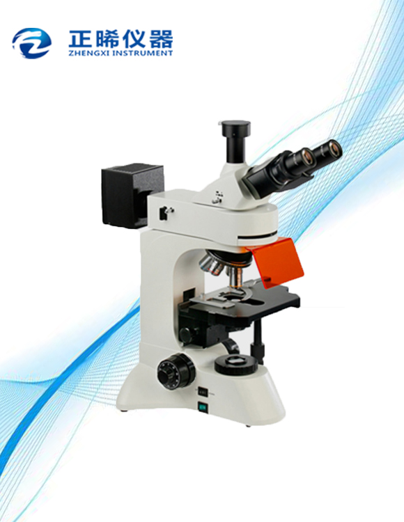 LED荧光模块荧光显微镜ZFM-550