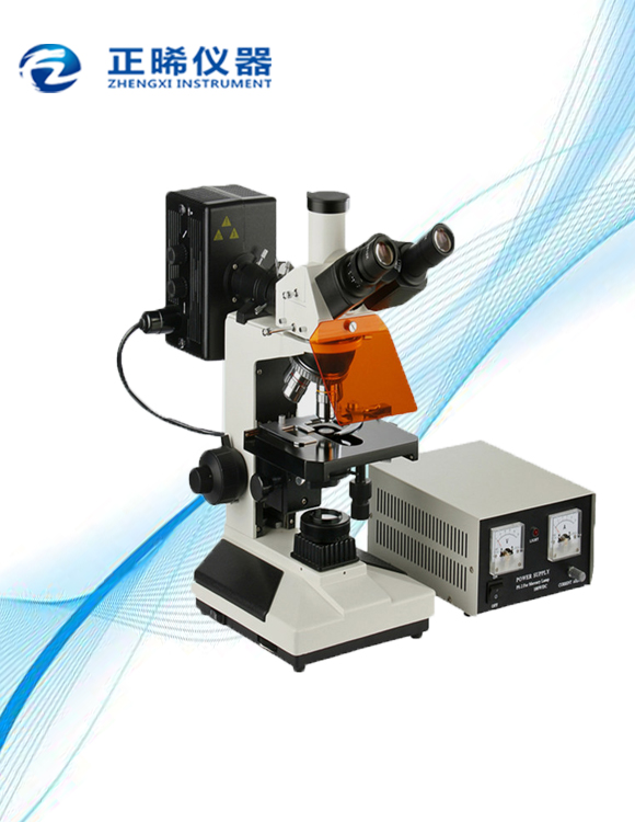 透反射荧光显微镜ZFM-200