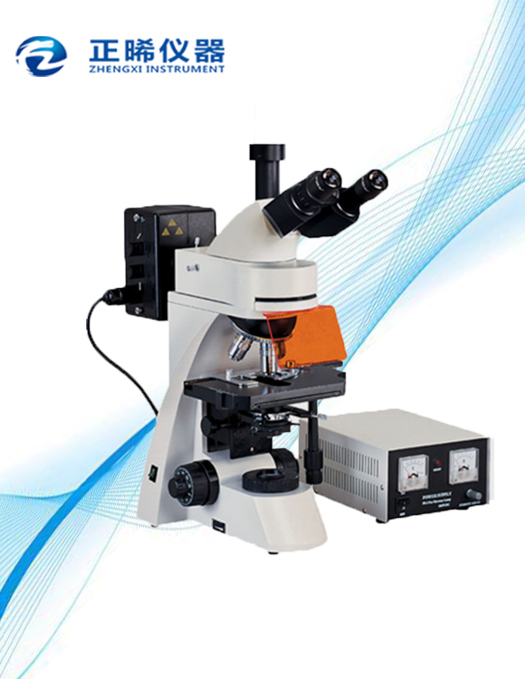 研究型正置荧光显微镜ZFM-600