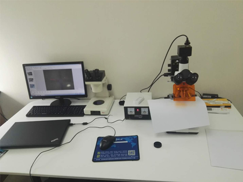 复旦大学材料科学系-荧光显微镜